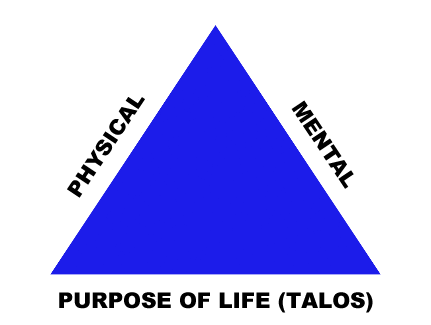 Wellbeing Triangle