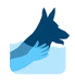 Aqua Canis - Canine Hydrotherapy and Rehabilitation at the Oakmede Retreat in Surrey