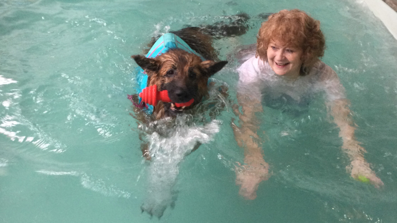 Swim with Your Dog